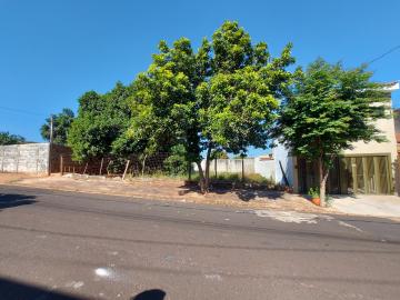 Alugar Terreno / Residencial em Ribeirão Preto. apenas R$ 110.000,00
