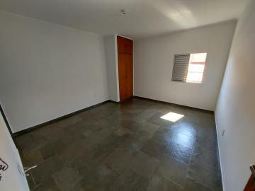 Alugar Apartamento / Flat  Loft  Kitnet em Ribeirão Preto. apenas R$ 500,00